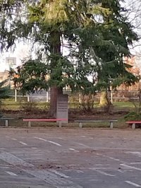 Ernst Enge - Gedenkstein auf dem Städtischen Friedhof
